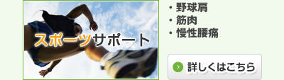 スポーツサポート